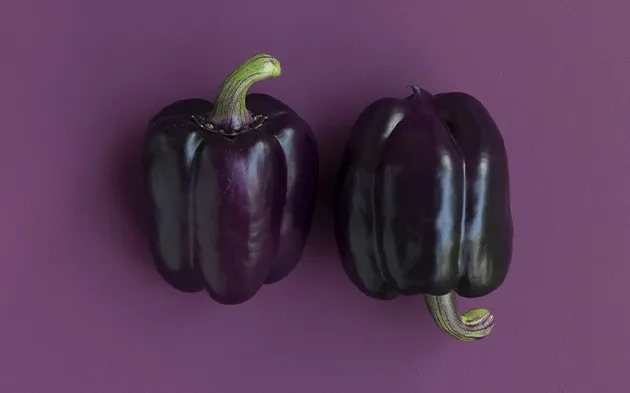 新球体育bochengkang